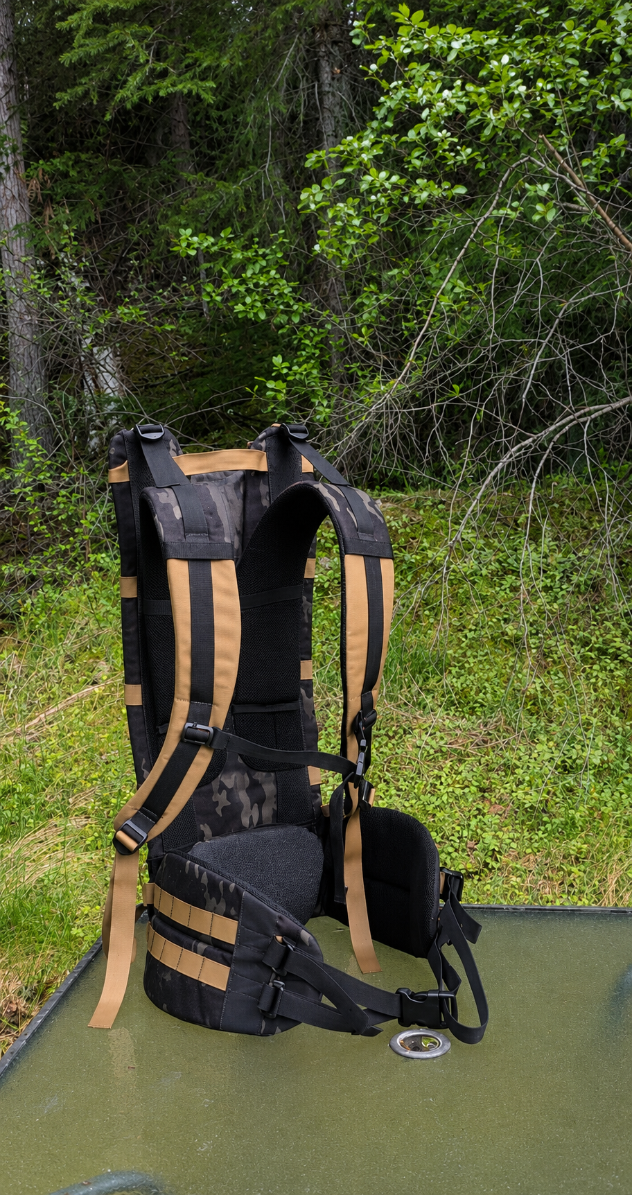 Ridgeline Frame